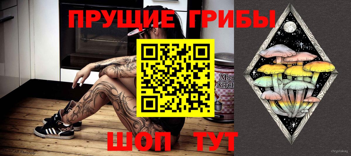 Галлюциногенные грибы Psilocybe  Вход с VPN  купить наркотики сайты  Ногинск 